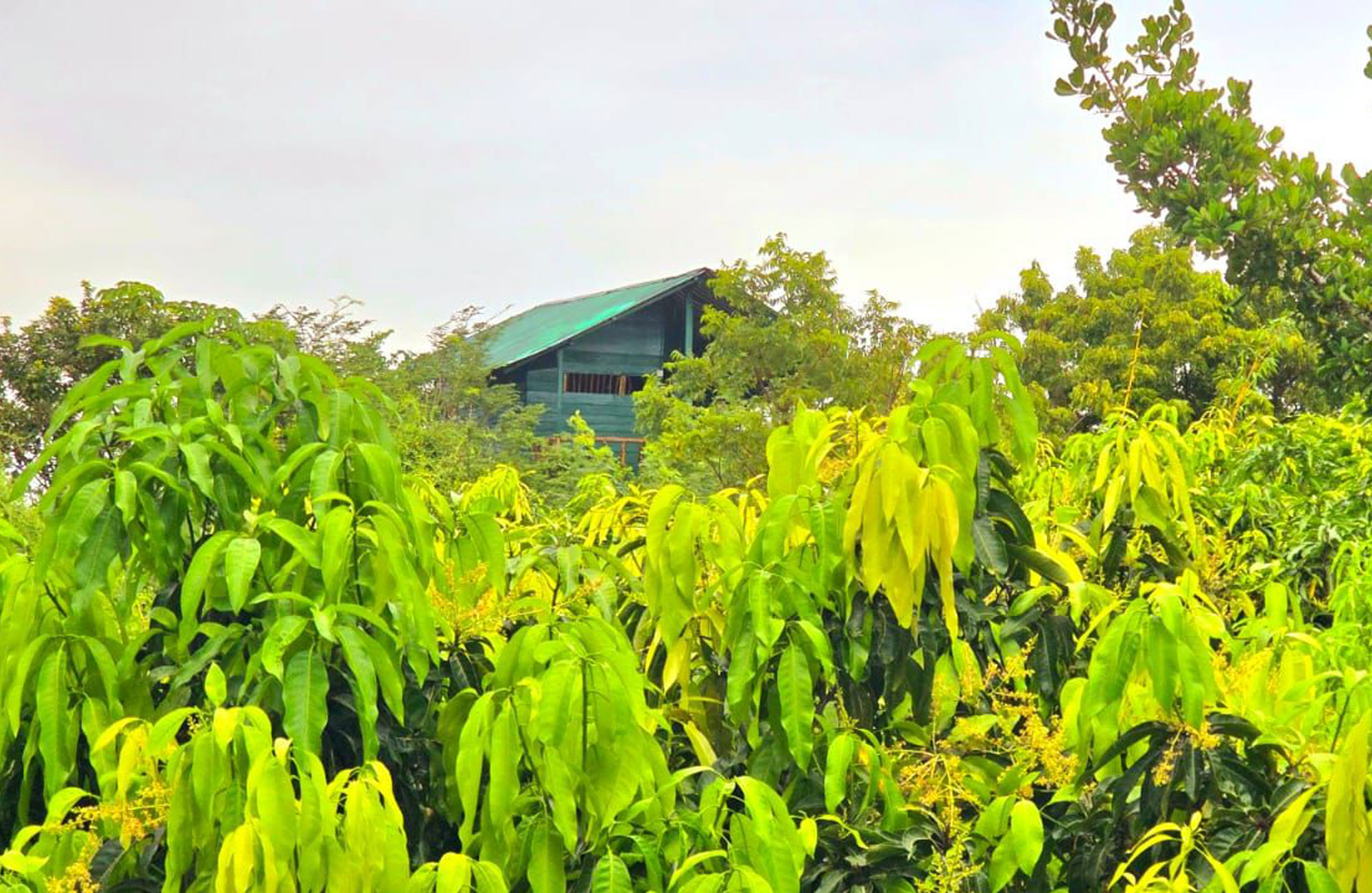 Winding road on property grounds